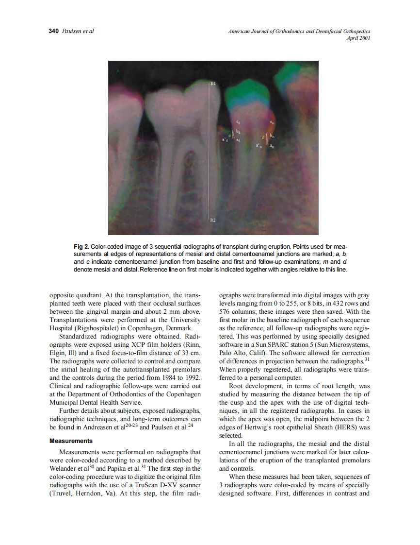 2001_119_4_338_345_Paulsen.pdf 第3页