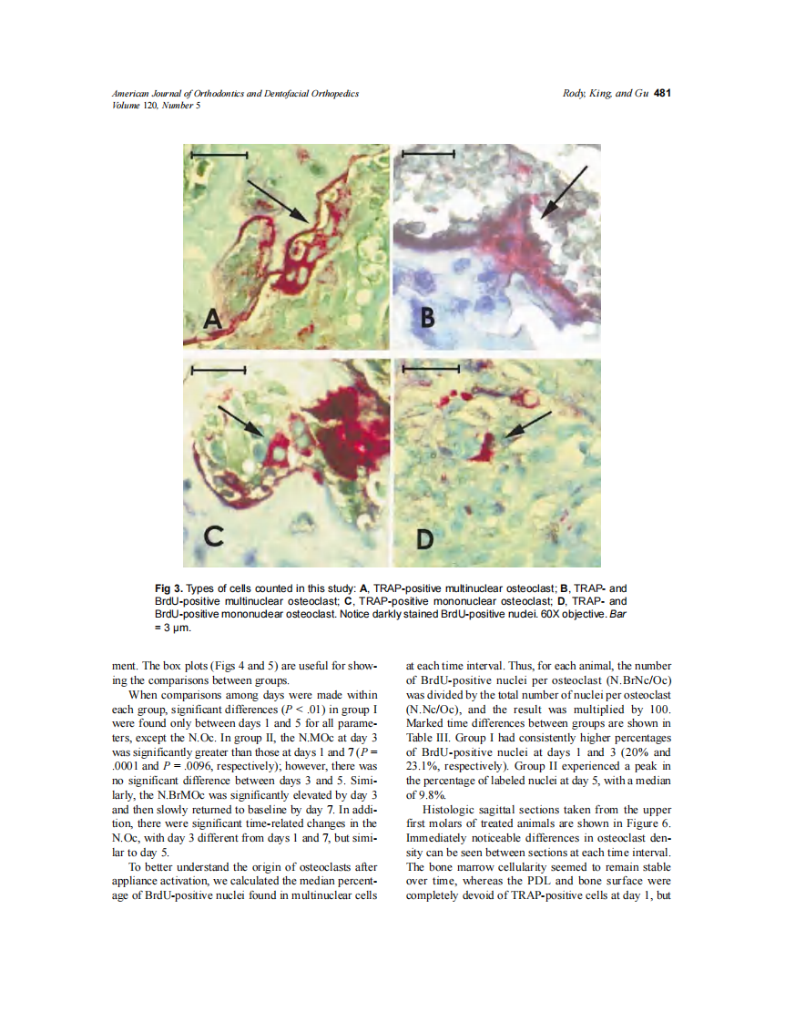 2001_120_5_477_489_Rody.pdf 第5页