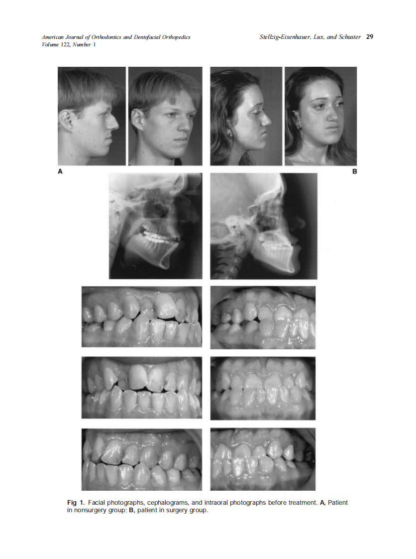 2002_122_1_27_37_Stellzig-Eisenhauer.pdf 第3页