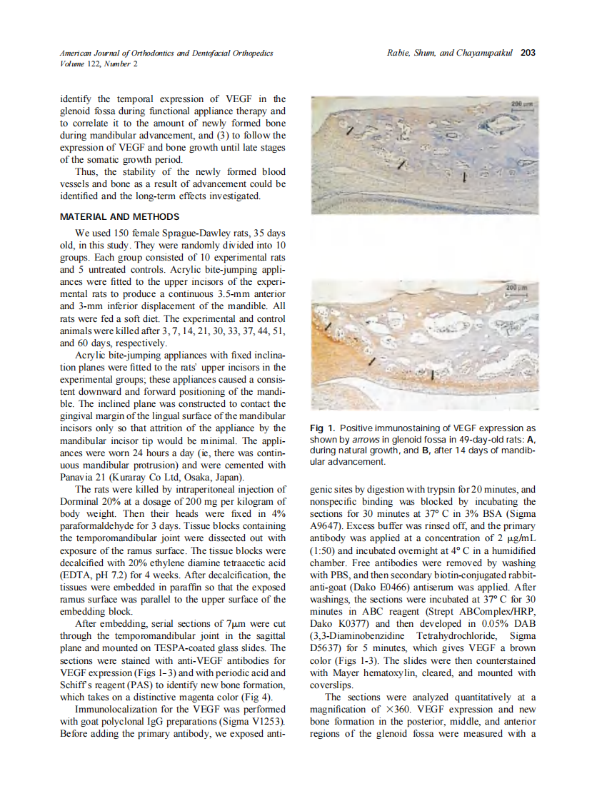 2002_122_2_202_209_Rabie.pdf 第2页