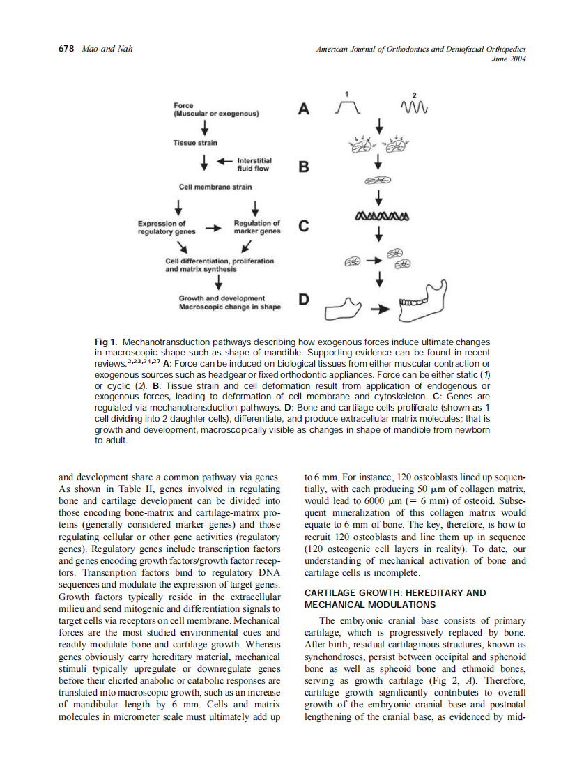 2004_125_6_676_689_Mao.pdf 第3页