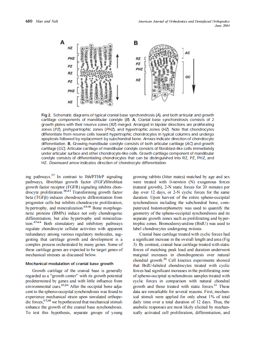 2004_125_6_676_689_Mao.pdf 第5页