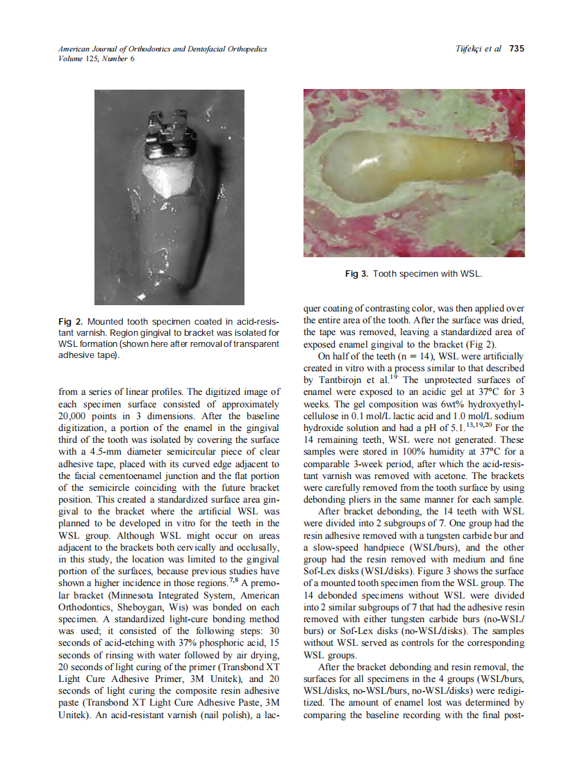 2004_125_6_733_739_Tufekci.pdf 第3页