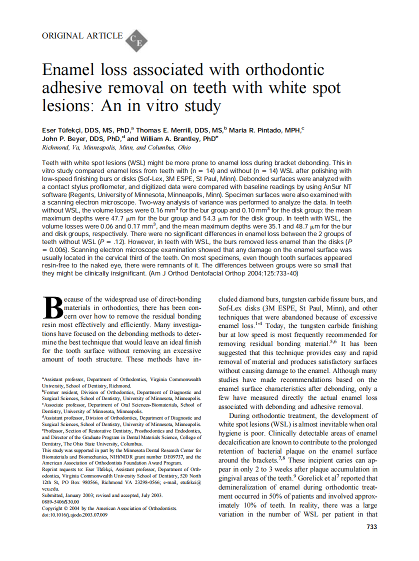 2004_125_6_733_739_Tufekci.pdf 第1页