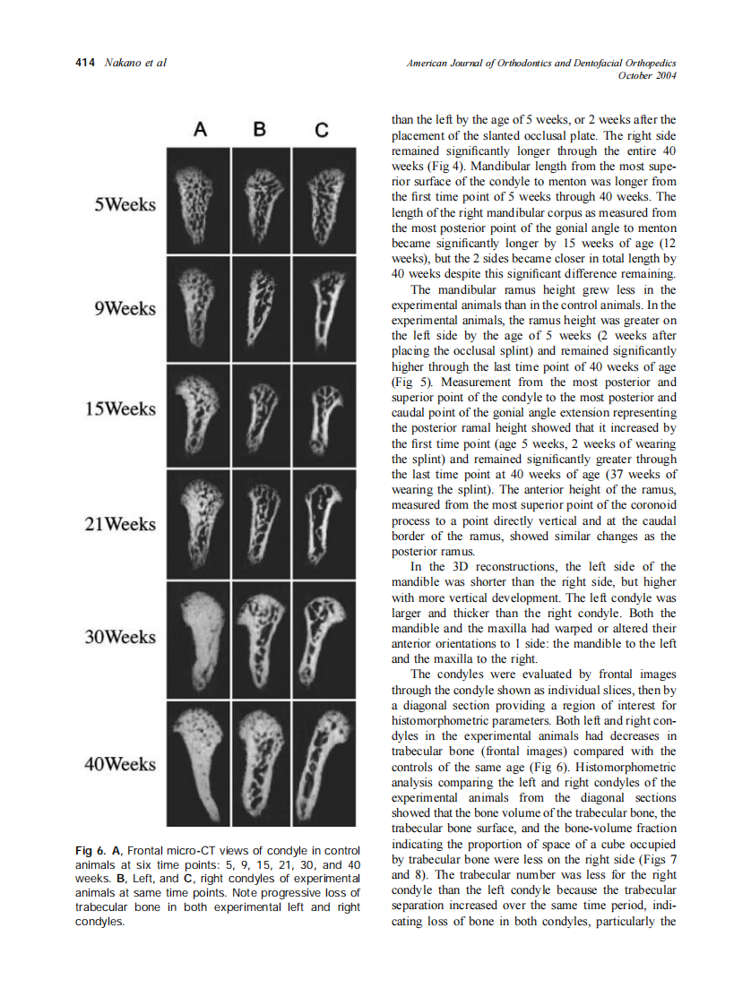2004_126_4_410_420_Nakano.pdf 第5页