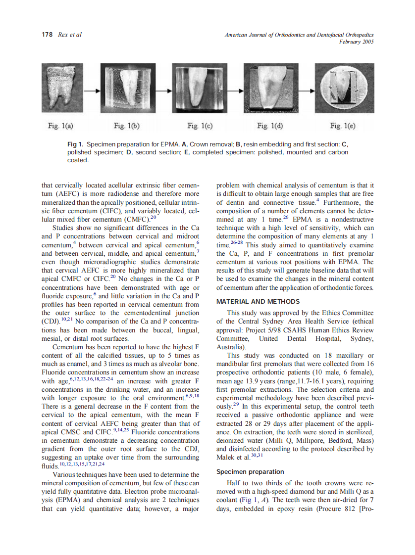 2005_127_2_177_185_Rex.pdf 第2页