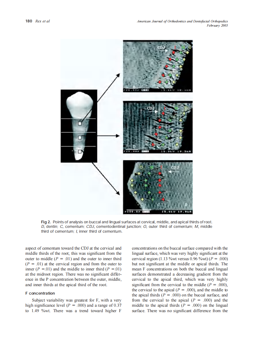 2005_127_2_177_185_Rex.pdf 第4页