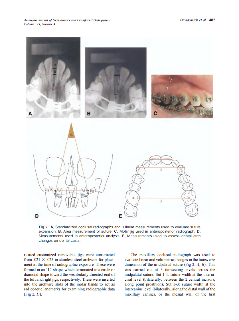 2005_127_4_483_492_Davidovitch.pdf 第3页