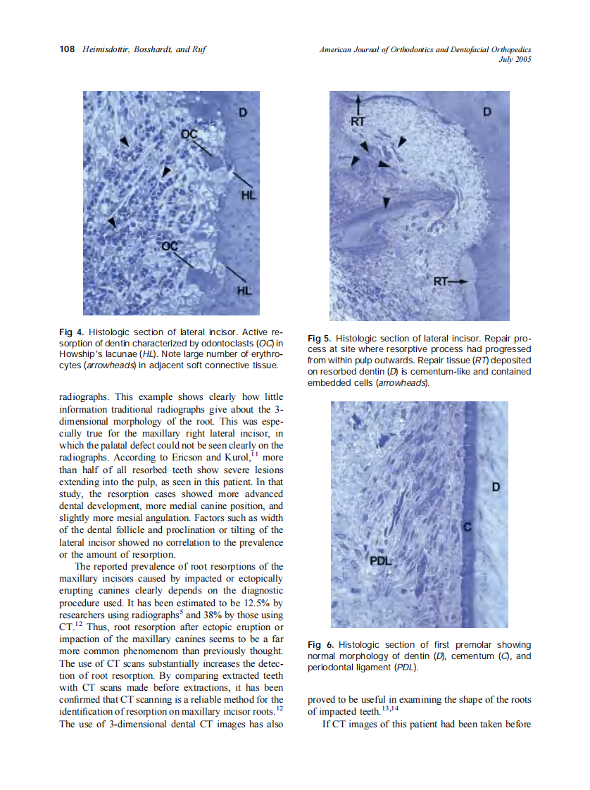2005_128_1_106_109_Heimisdottir.pdf 第3页