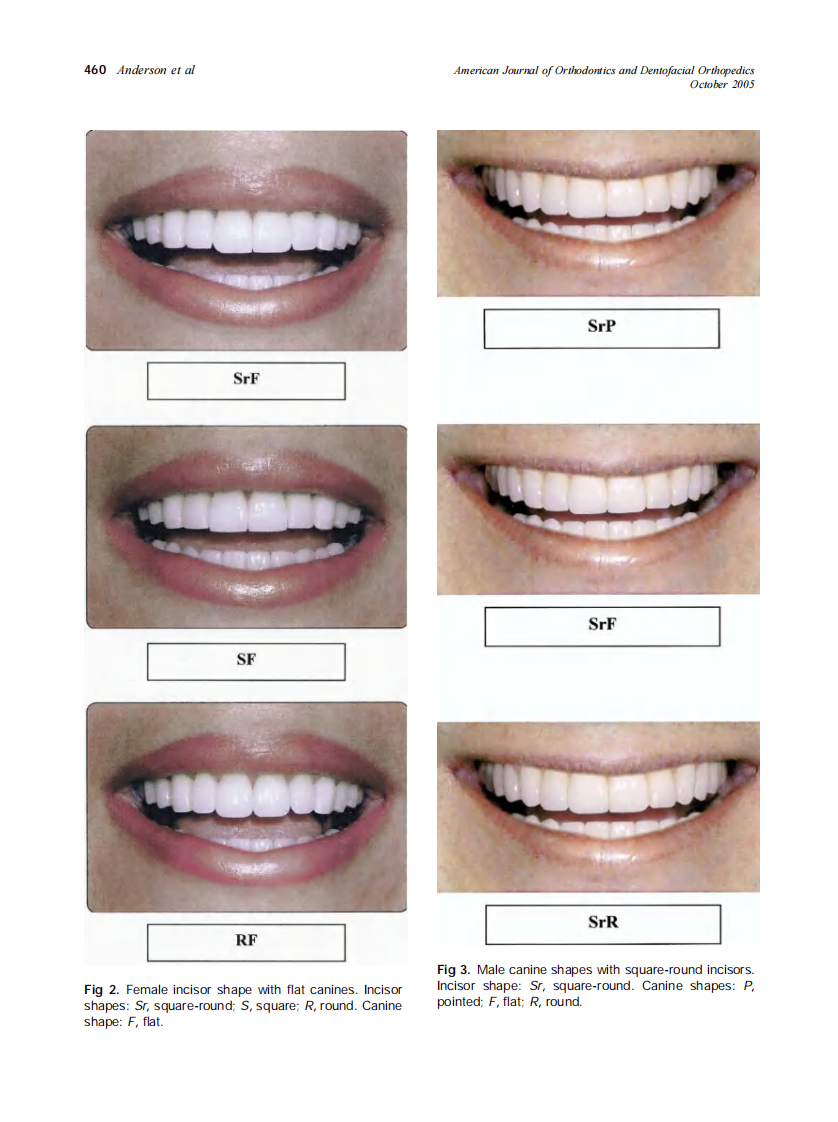 2005_128_4_458_465_Anderson.pdf 第3页