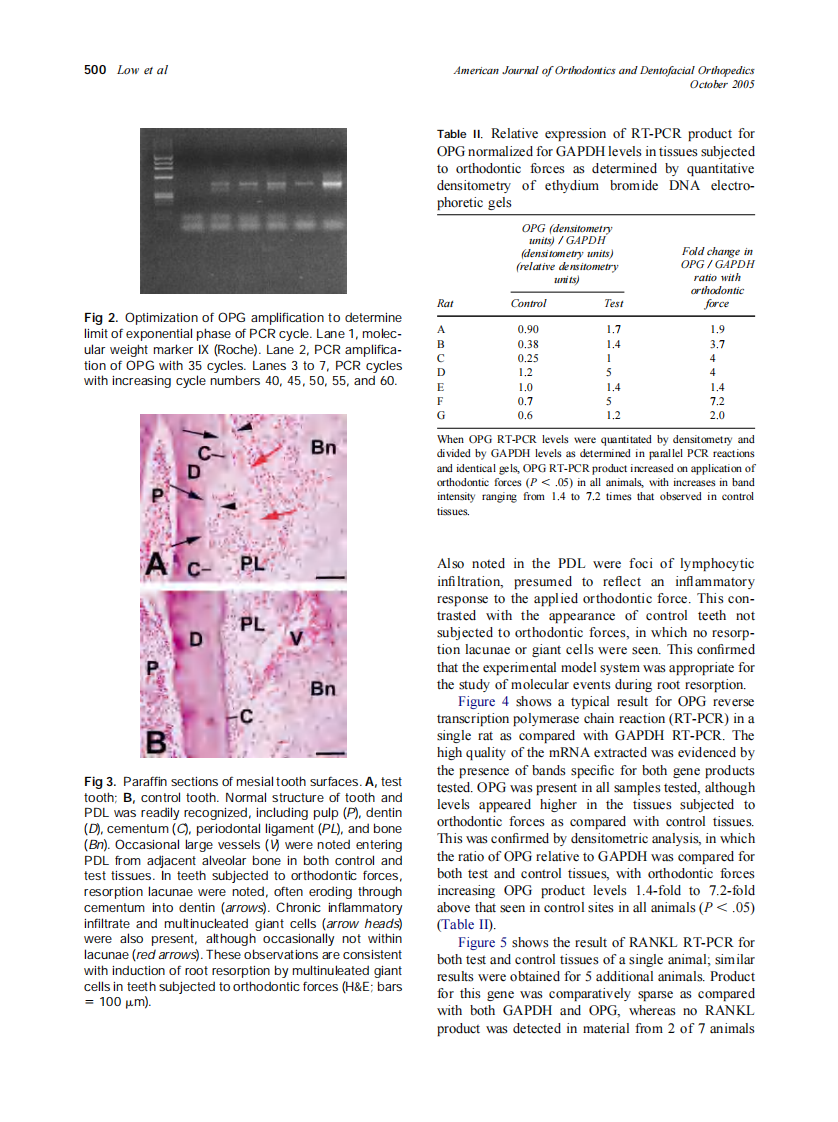 2005_128_4_497_503_Low.pdf 第4页