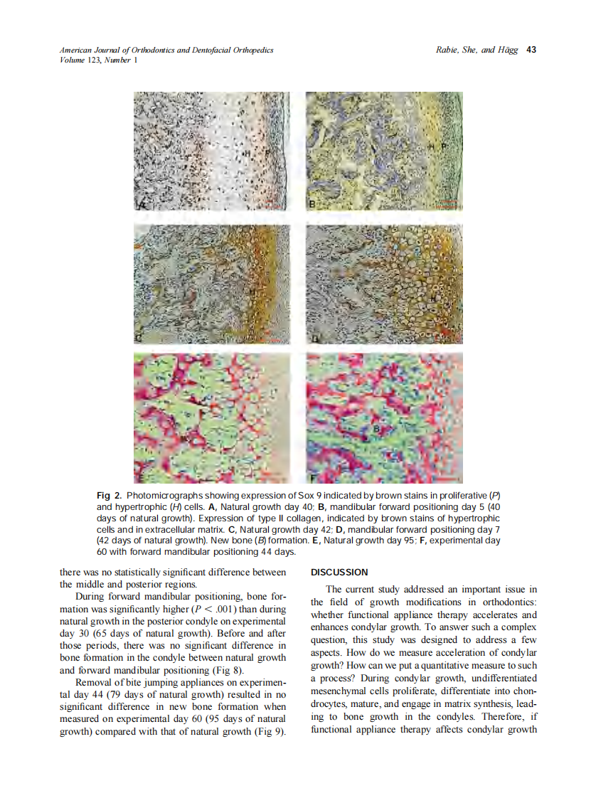 2003_123_1_40_48_Rabie.pdf 第4页