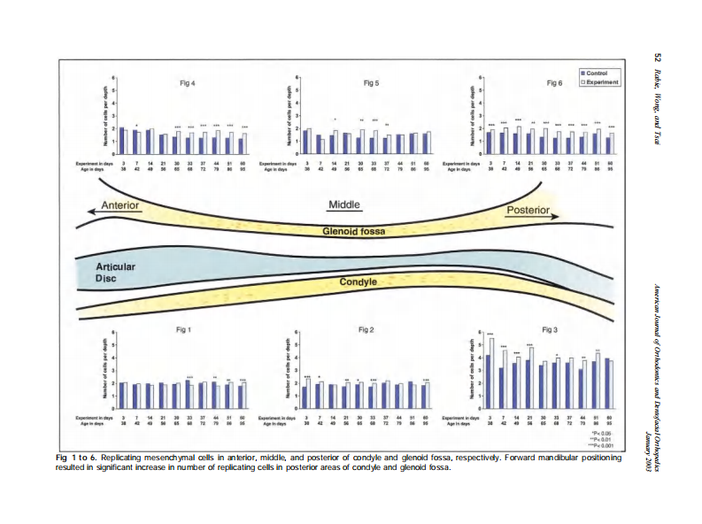 2003_123_1_49_57_Rabie.pdf 第4页