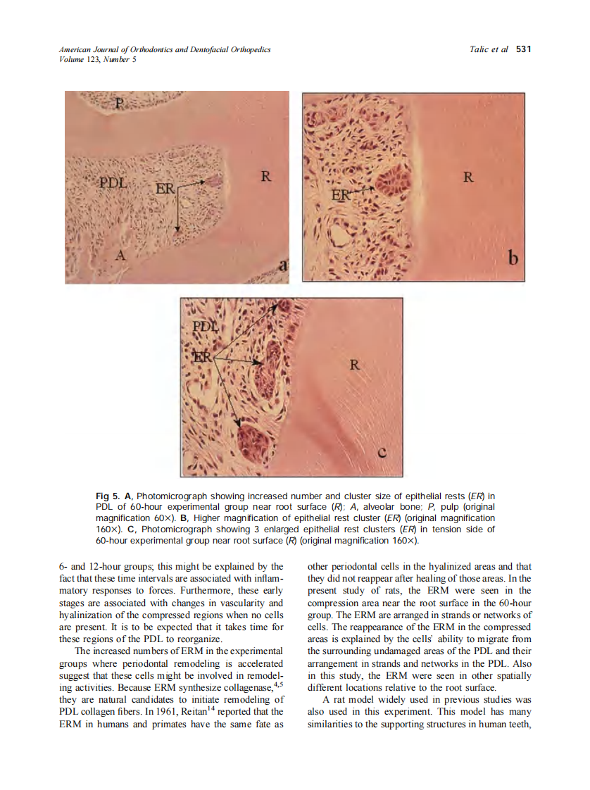 2003_123_5_527_533_Talic.pdf 第5页