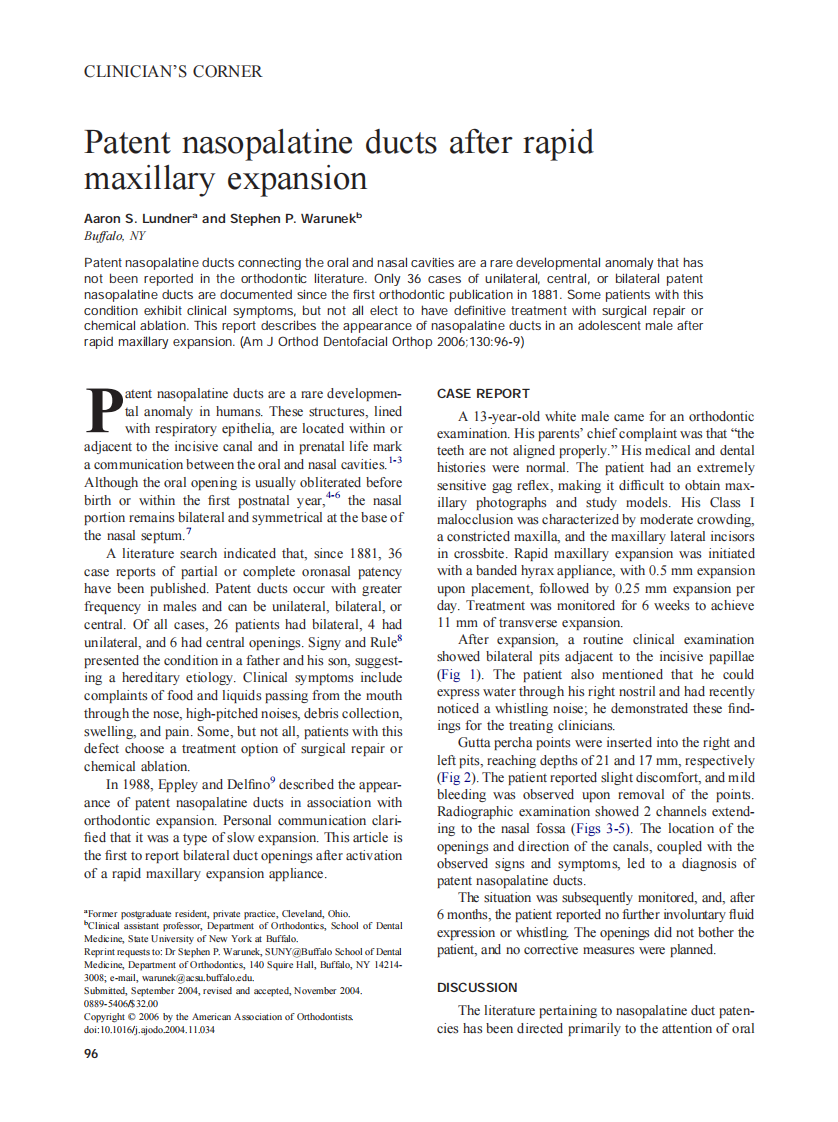 2006_130_1_96_99_Lundner.pdf 第1页