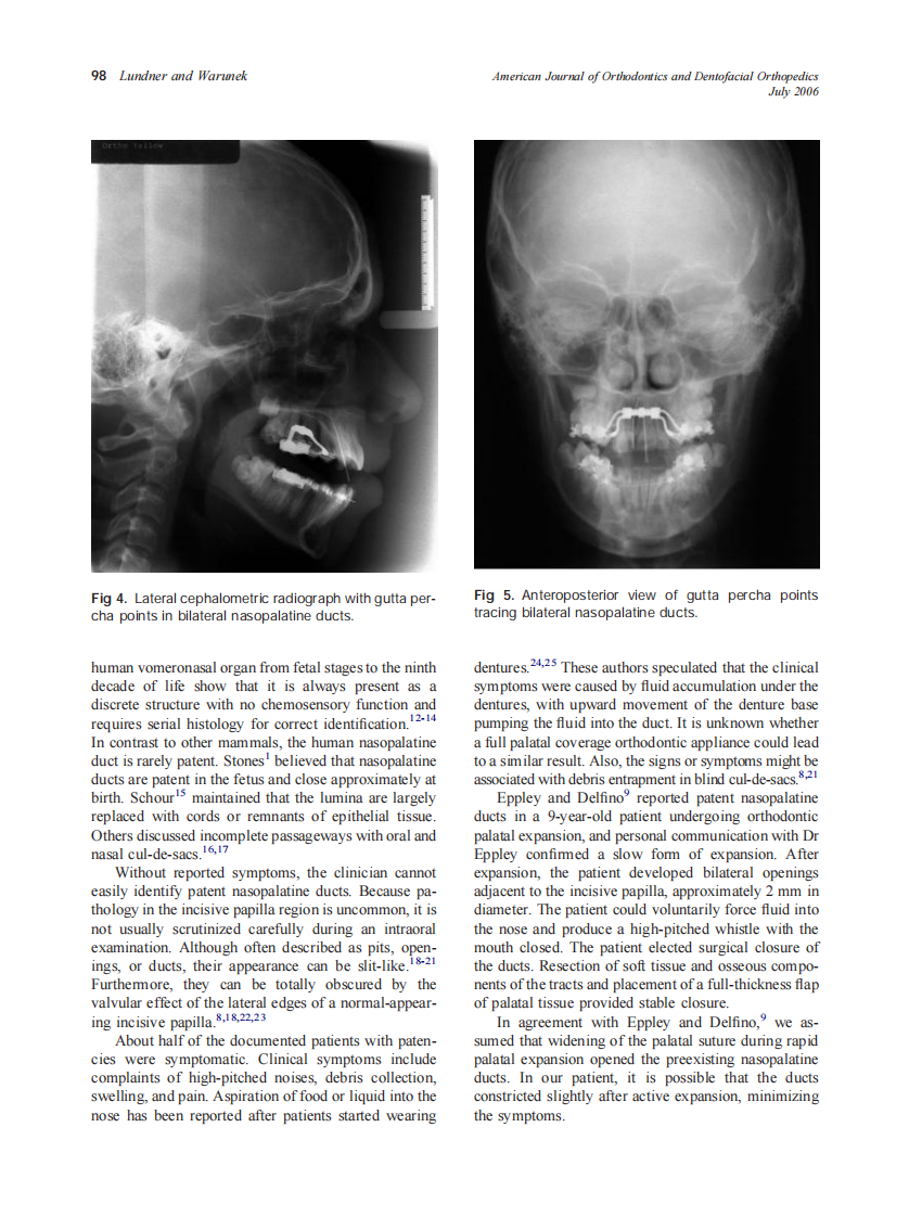 2006_130_1_96_99_Lundner.pdf 第3页