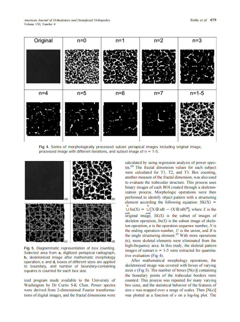 2006_130_4_476_484_Rothe.pdf 第4页