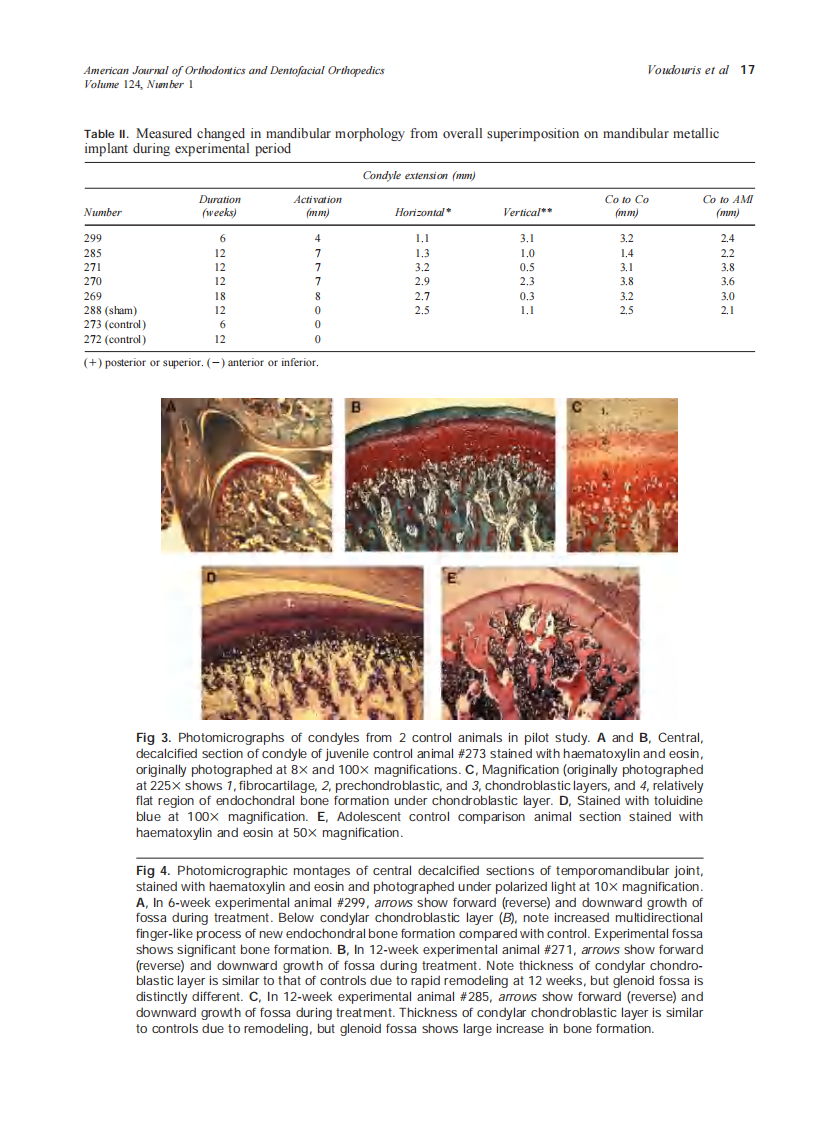 2003_124_1_13_29_Voudouris.pdf 第5页