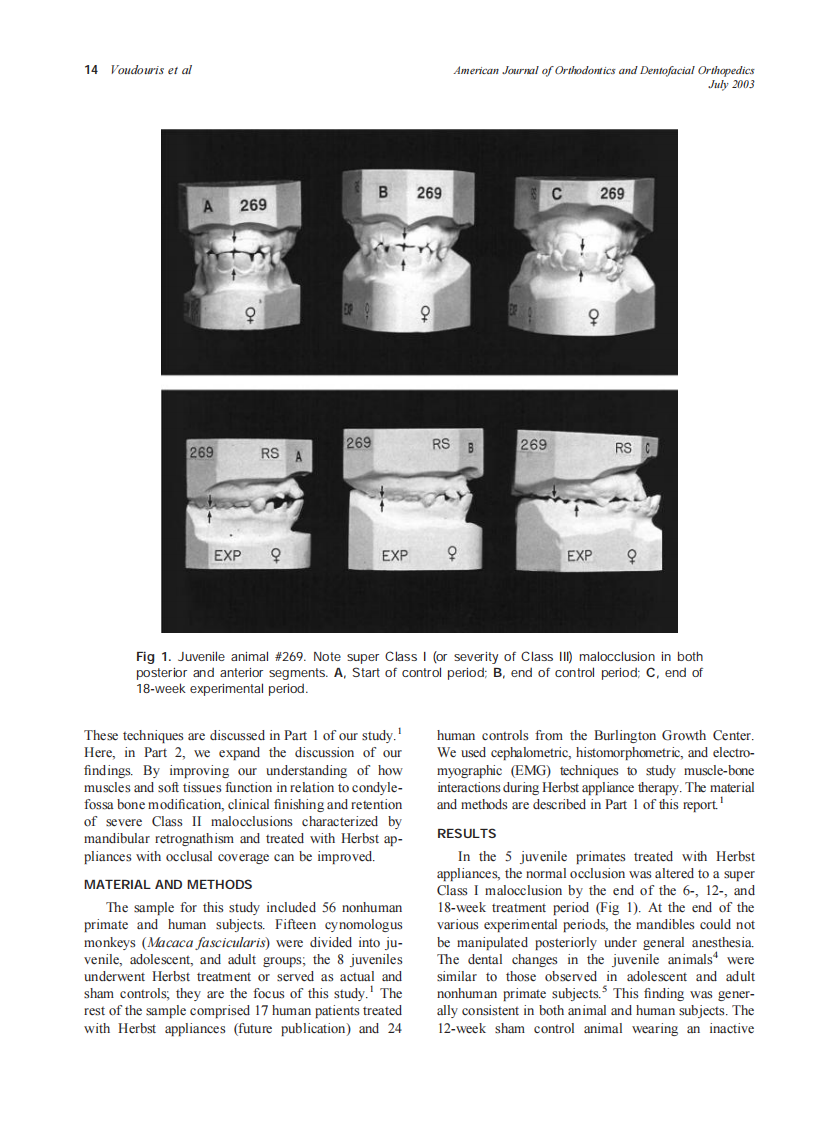 2003_124_1_13_29_Voudouris.pdf 第2页