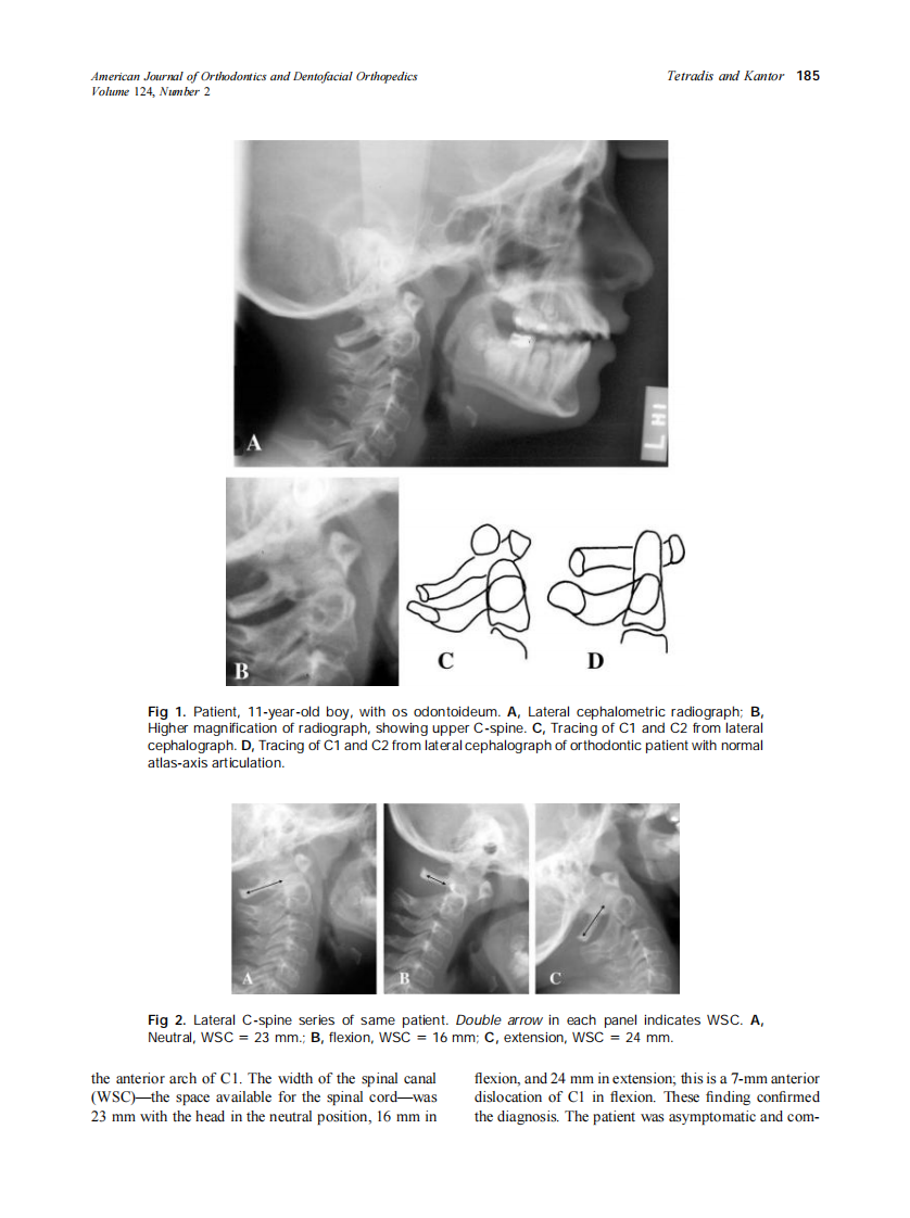 2003_124_2_184_189_Tetradis.pdf 第2页