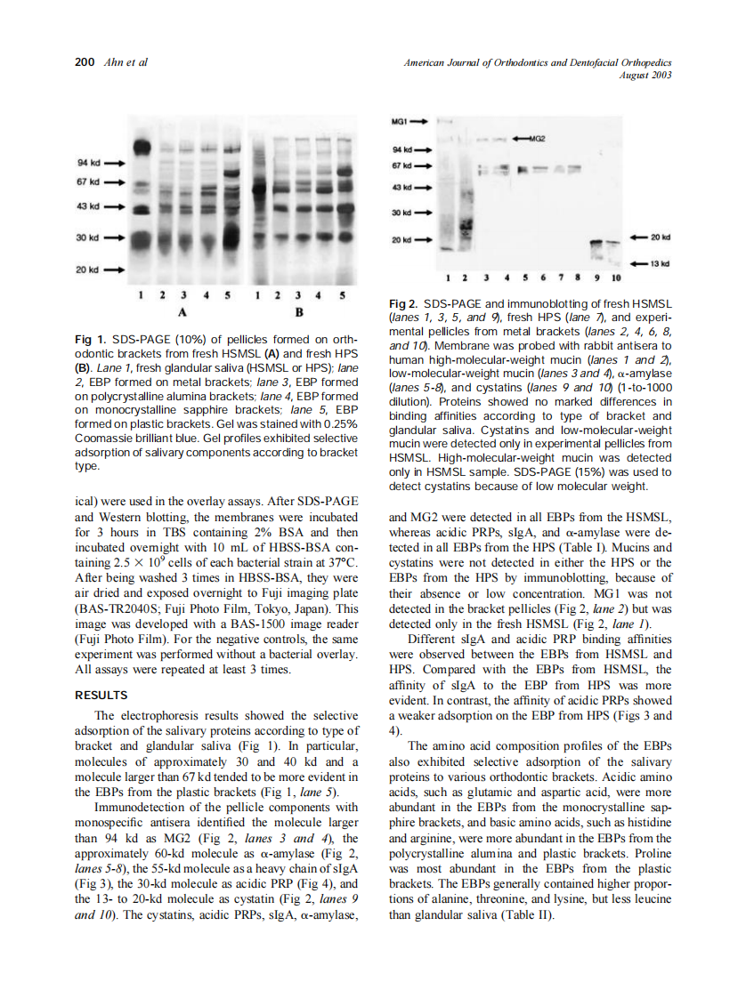 2003_124_2_198_205_Ahn.pdf 第3页
