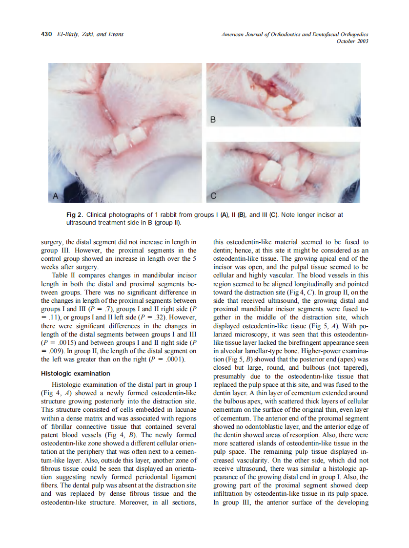 2003_124_4_427_434_El-Bialy.pdf 第4页