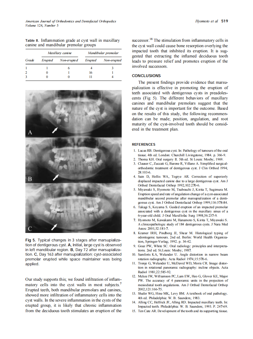 2003_124_5_515_520_Hyomoto.pdf 第5页