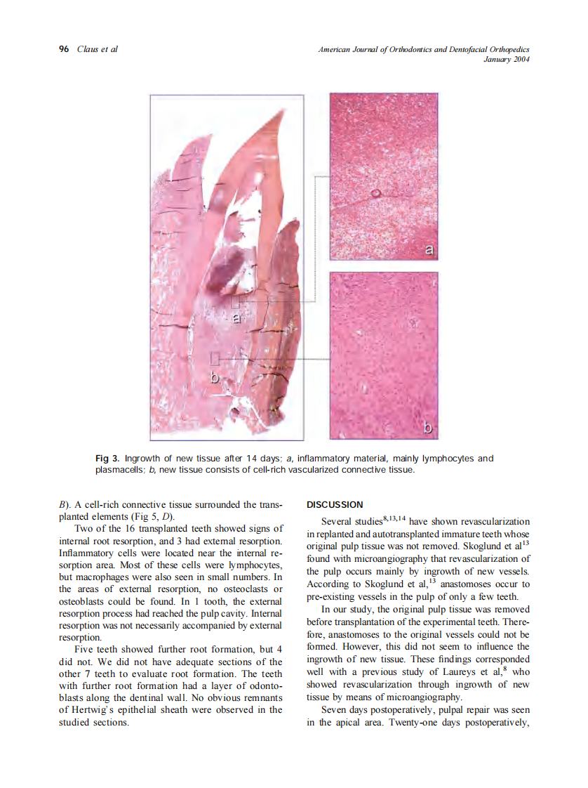 2004_125_1_93_99_Claus.pdf 第4页