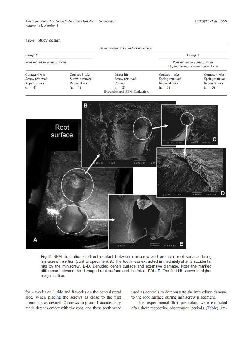 2008_134_3_353_360_Kadioglu.pdf 第3页
