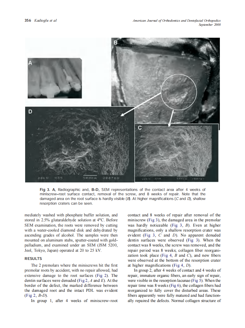 2008_134_3_353_360_Kadioglu.pdf 第4页