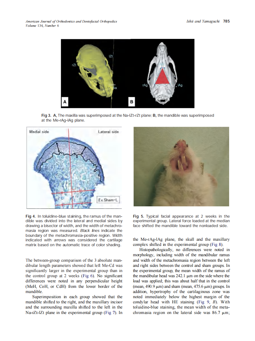 2008_134_6_782_791_Ishii.pdf 第4页