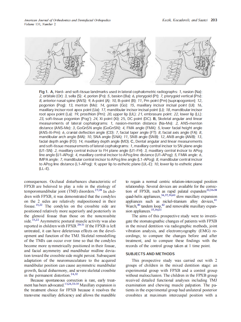 2007_131_2_202_215_Kecik.pdf 第2页
