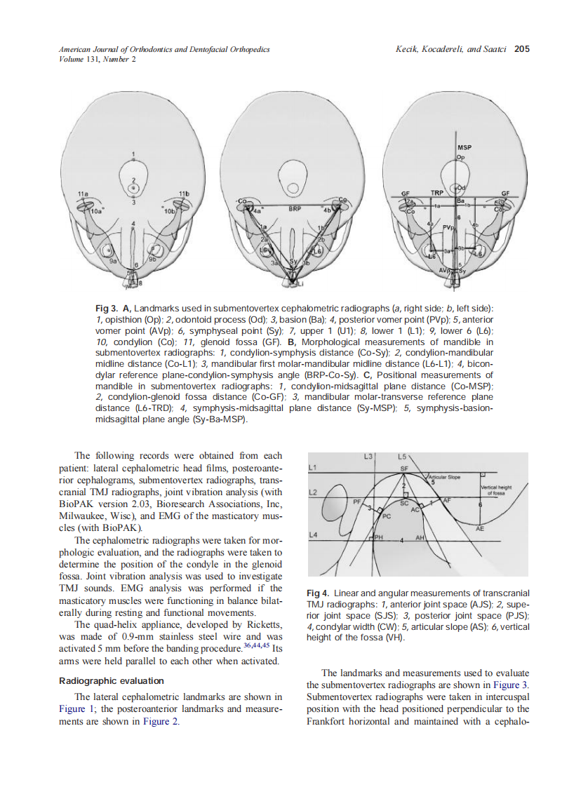 2007_131_2_202_215_Kecik.pdf 第4页
