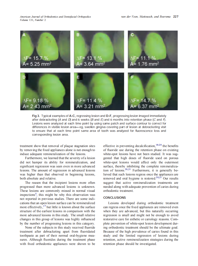 2007_131_2_223_228_van-der-Veen.pdf 第5页