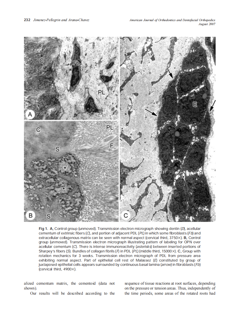 2007_132_2_230_236_Jimenez-Pellegrin.pdf 第3页