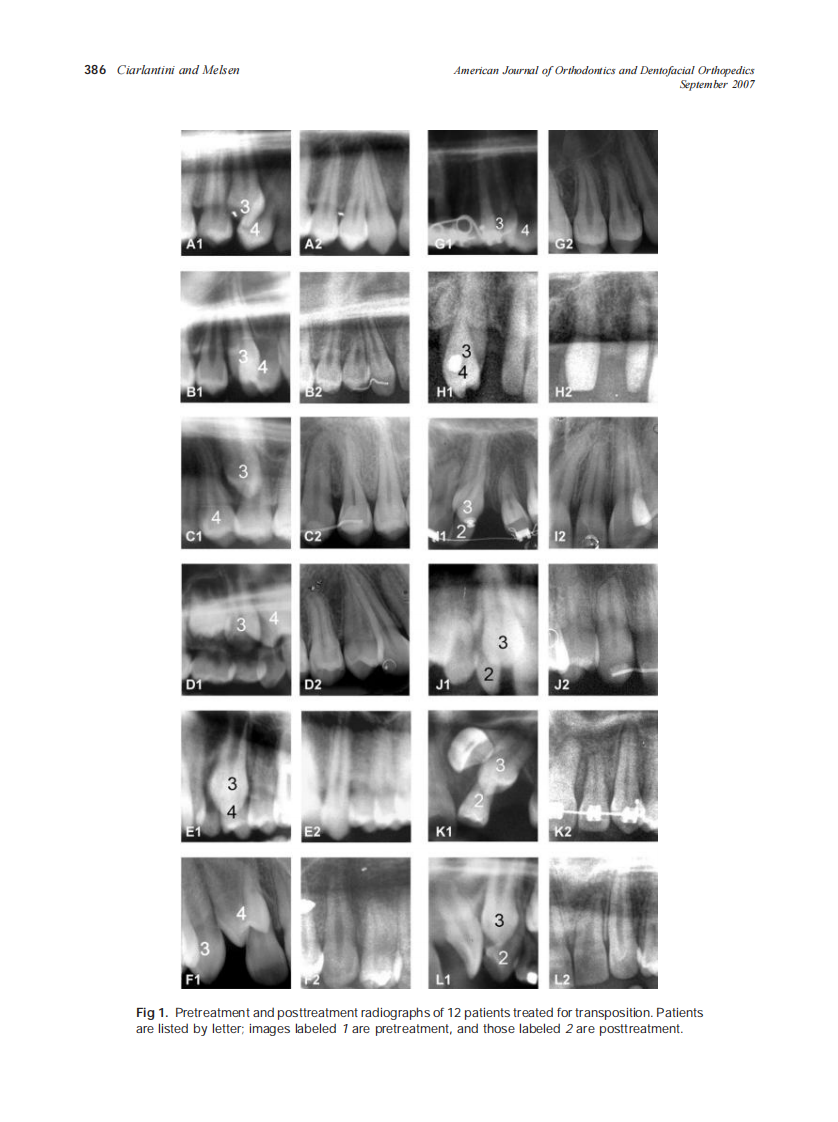 2007_132_3_385_394_Ciarlantini.pdf 第2页