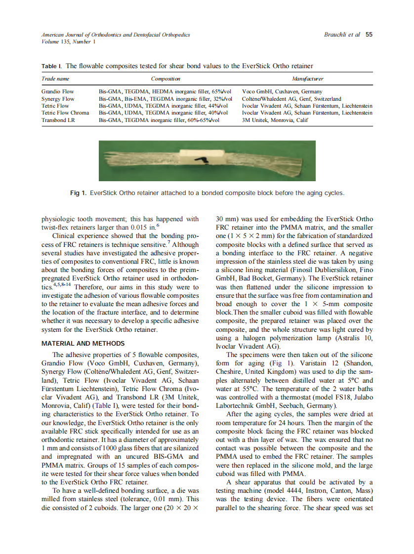 2009_135_1_54_58_Brauchli.pdf 第2页