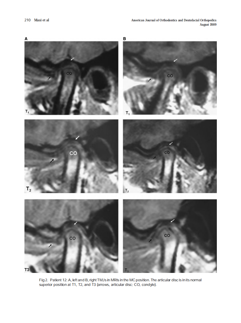2009_136_2_207_217.pdf 第4页