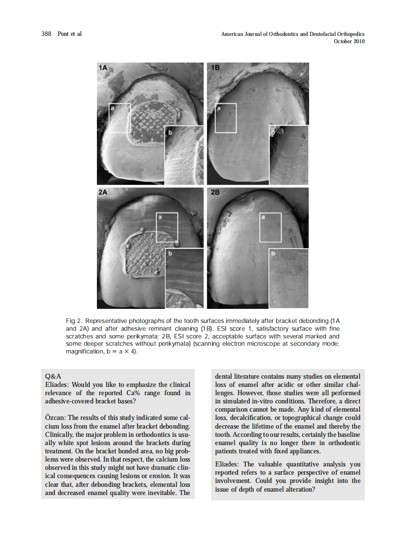 2010_138_4_387_389.pdf 第2页