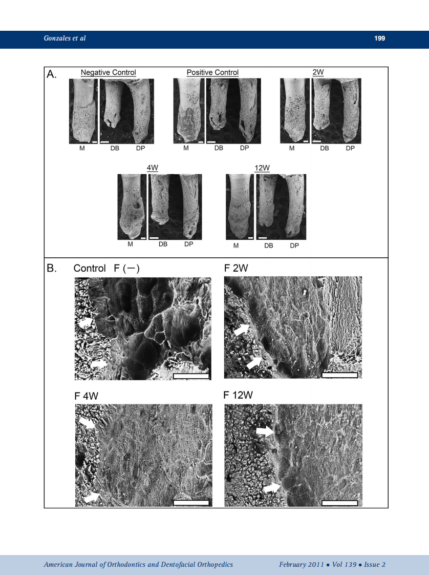 2011_139_2_196_205.pdf 第4页