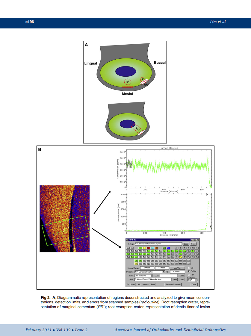 2011_139_2_e193_e202.pdf 第4页