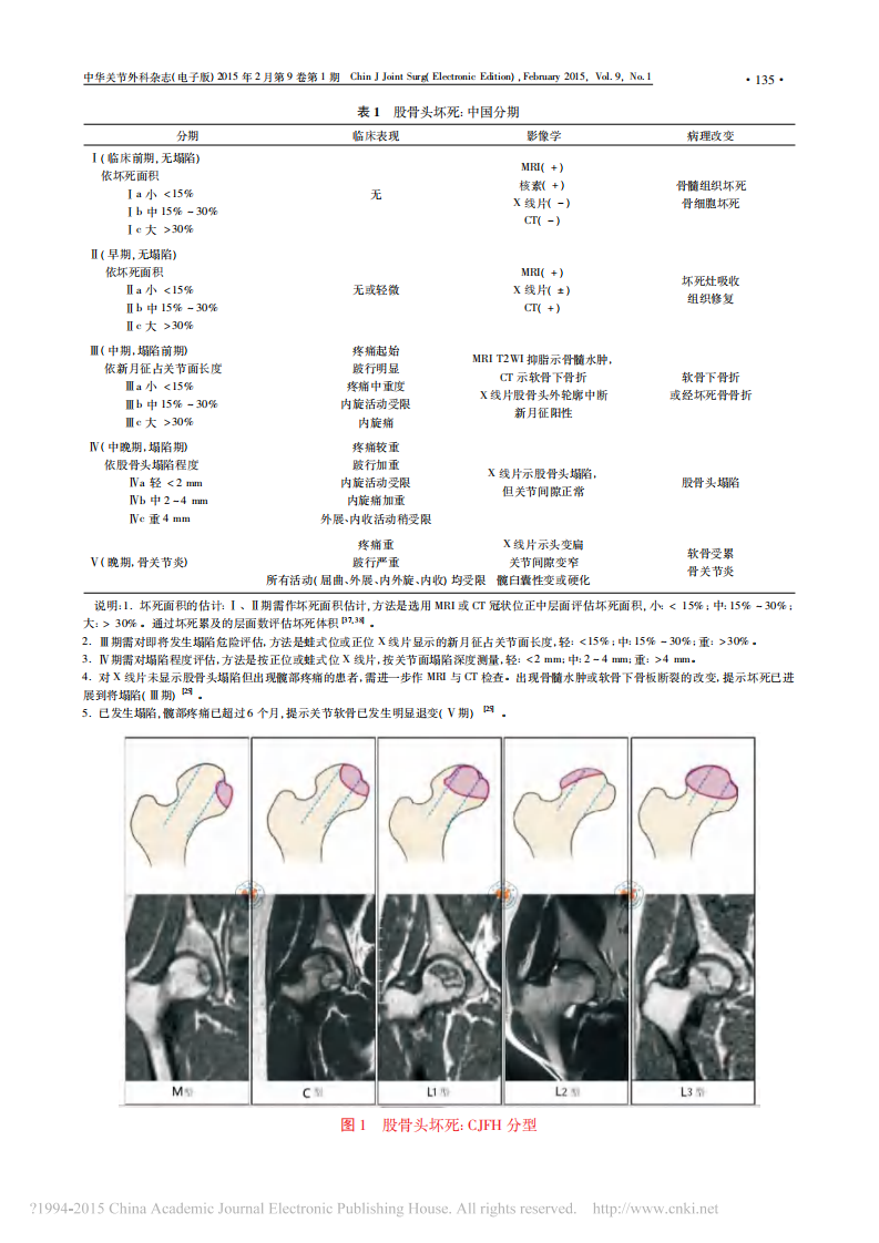 _股骨头坏死临床诊疗规范(2015年版).pdf 第3页