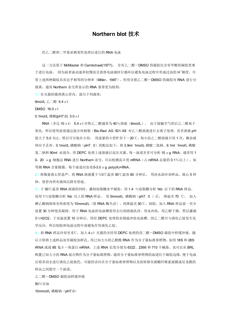 Northern杂交技术.doc 第1页