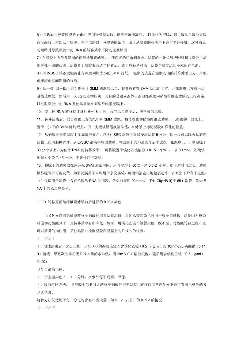 Northern杂交技术.doc 第3页