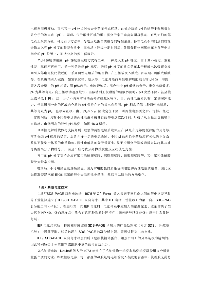 电泳技术简介.doc 第4页
