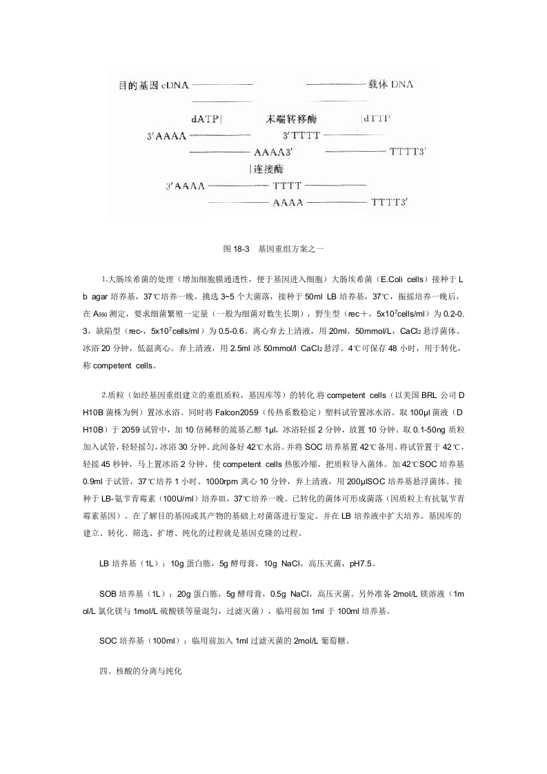 分子生物学实验基础知识.doc 第5页