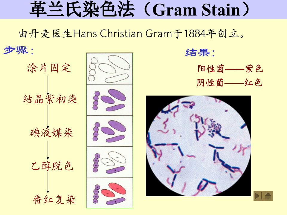 微生物学_3.ppt 第5页