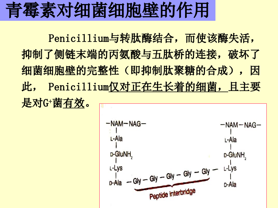 微生物学_6.ppt 第3页