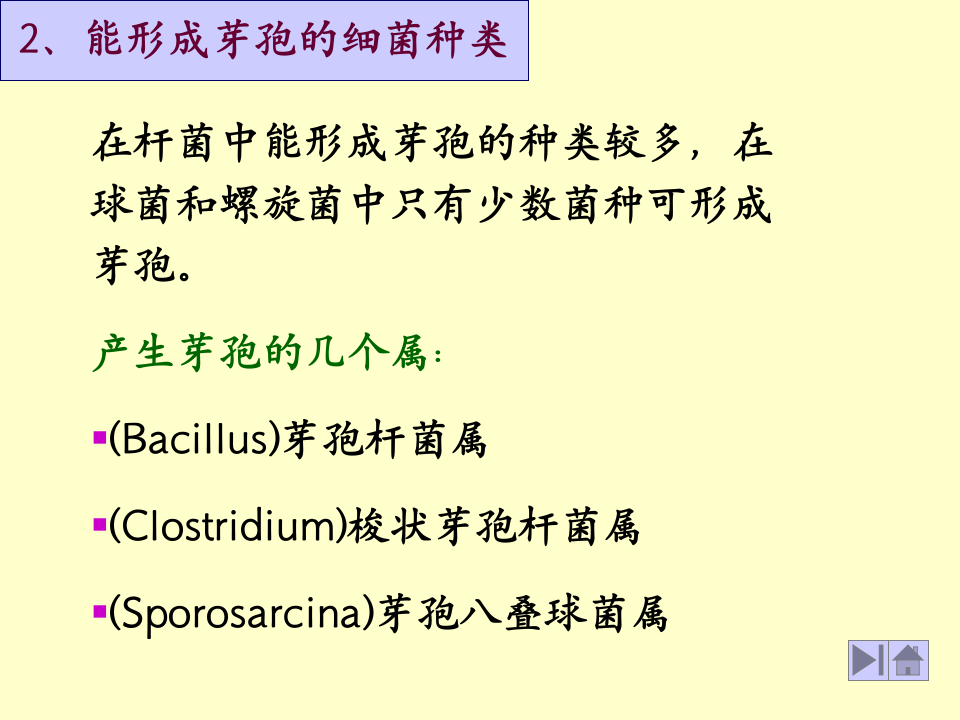 微生物学_9.ppt 第4页