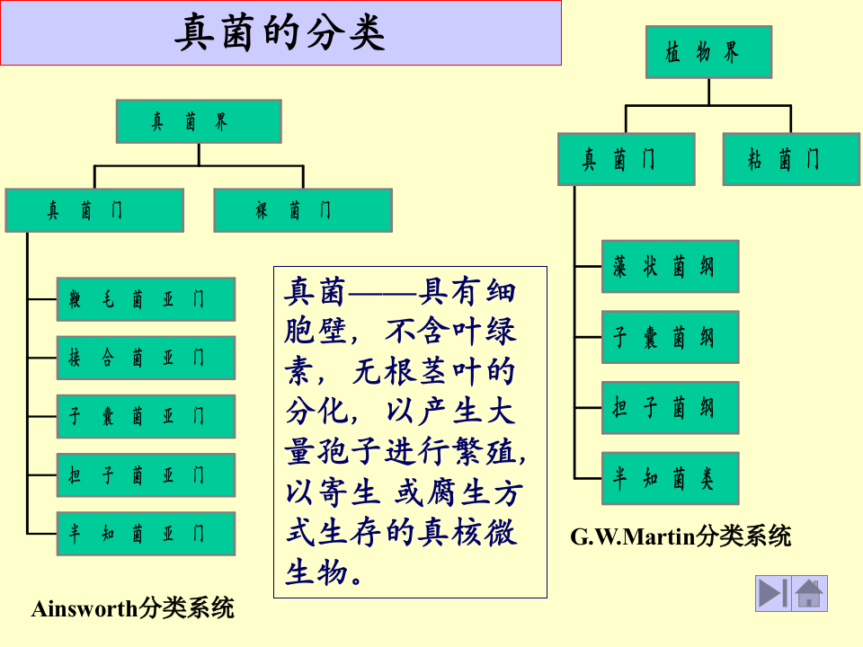微生物学_12.ppt 第3页
